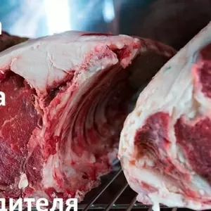 Реализуем охлаждённое мясо говядины