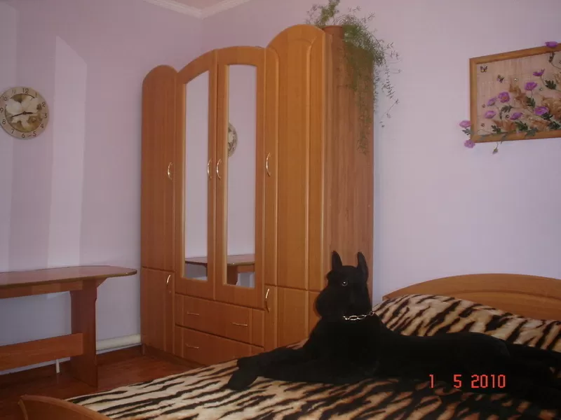 Меблированный дом в Белгороде с участком 3